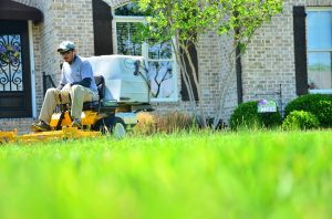 Lawn Mowing